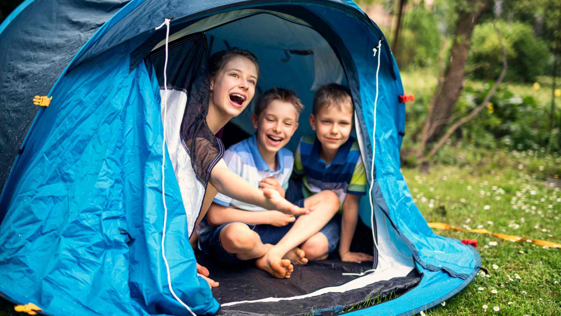 TENT RENTAL