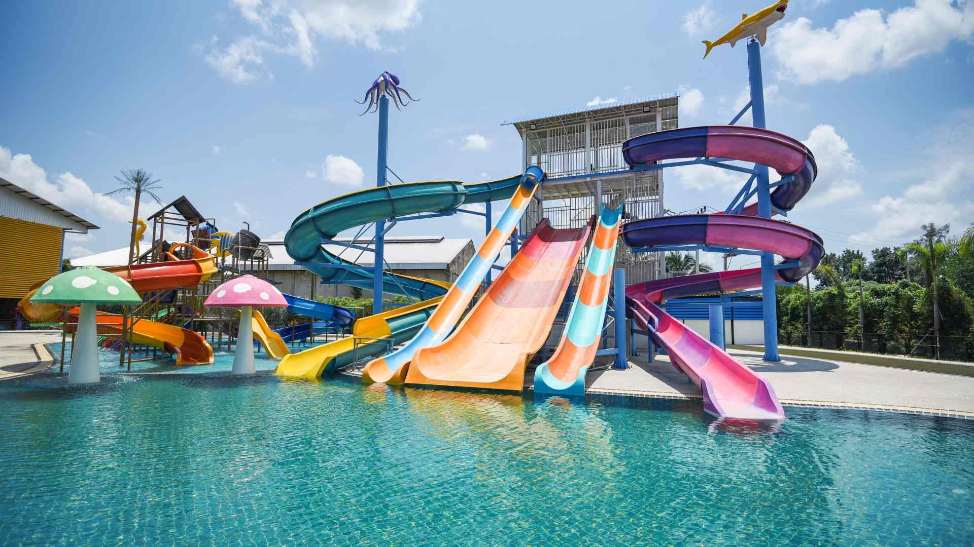 Water Slides